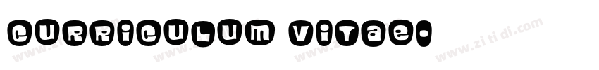 curriculum vitae字体转换